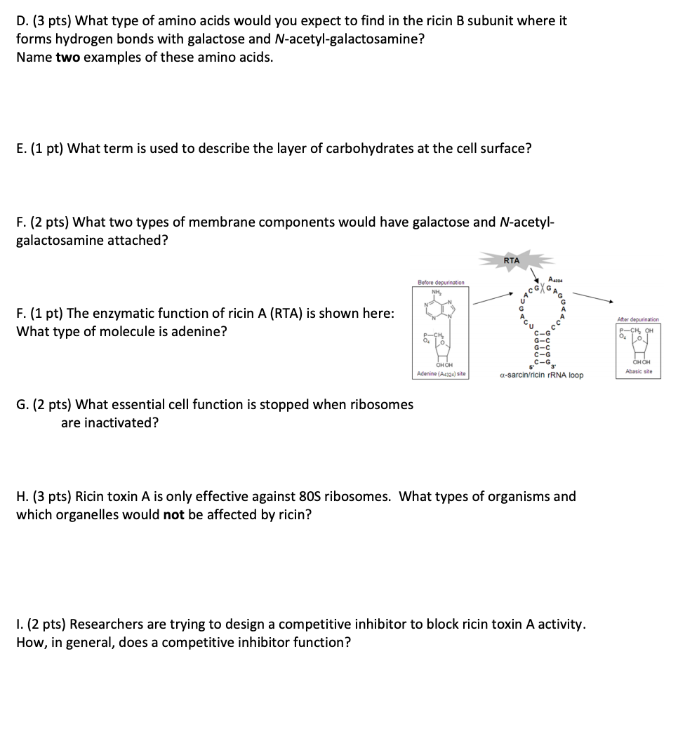 Solved D 3 Pts What Type Of Amino Acids Would You Expe Chegg Com