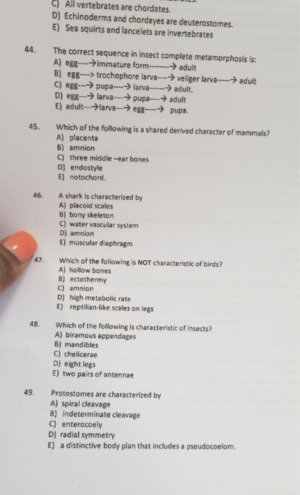 Solved C)All vertebrates are chordates D) Echinoderms and | Chegg.com