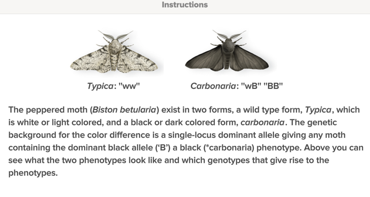 solved-instructions-follow-the-changes-of-a-moth-population-chegg