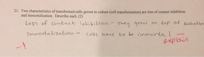 Solved 21. Two characteristics of transformed cells grown in | Chegg.com