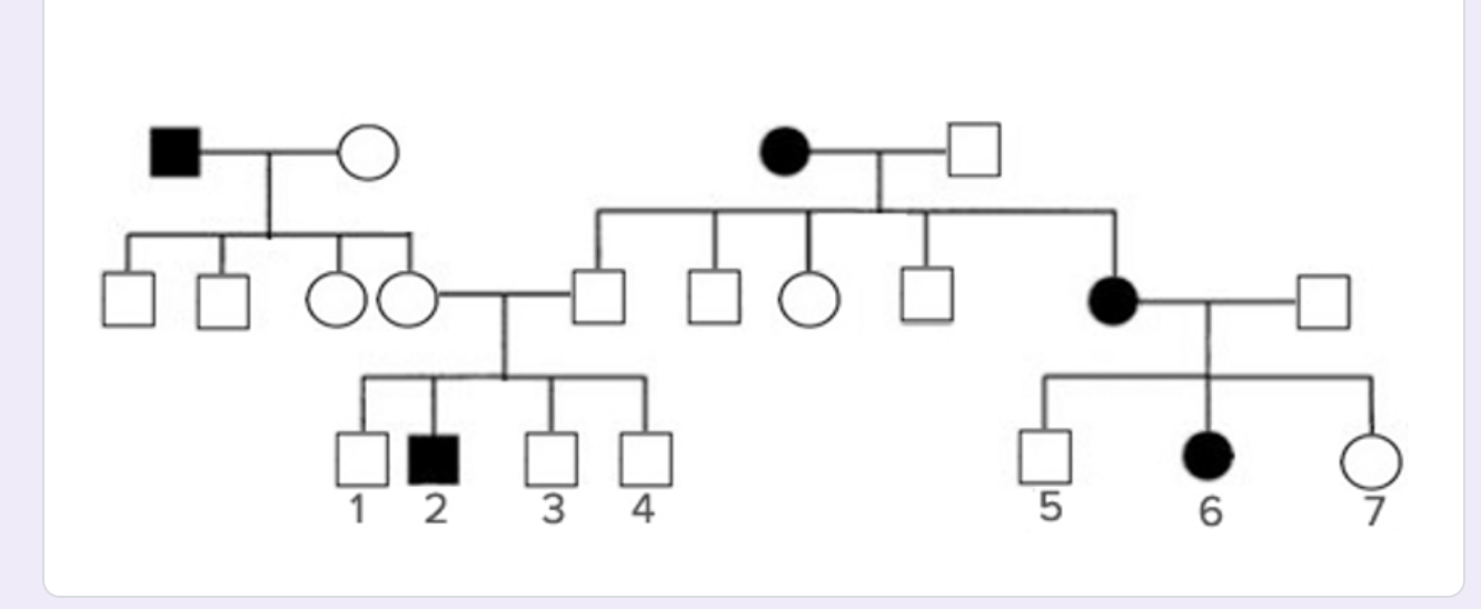 Solved If individuals 4 and 7 have a child, and this has the | Chegg.com