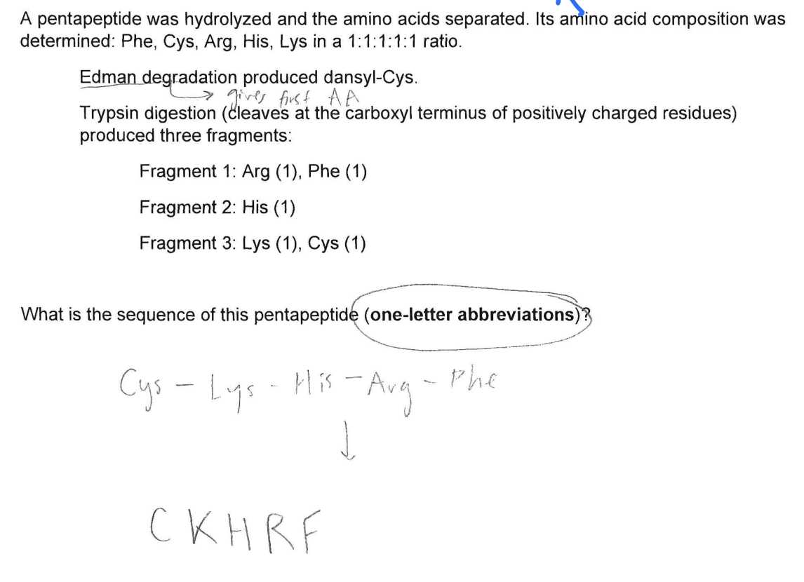 Solved Why is this answer wrong and what is the right answer | Chegg.com