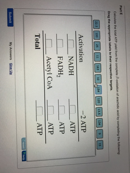 Solved Calculate the total ATP yield from the complete