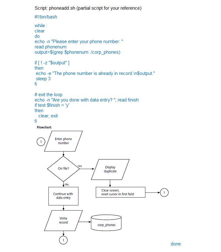 bash assignment quote