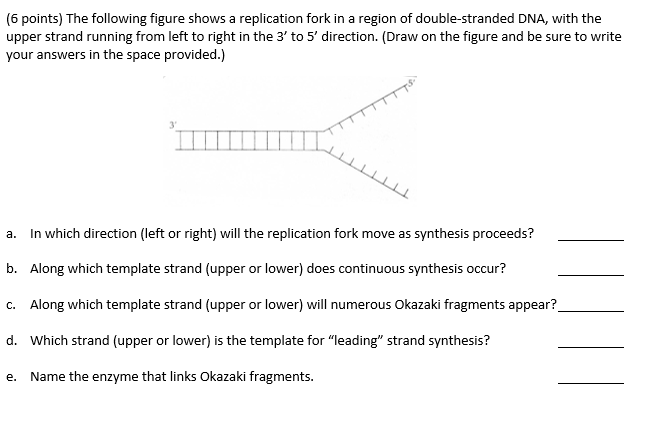 Solved (6 points) The following figure shows a replication | Chegg.com
