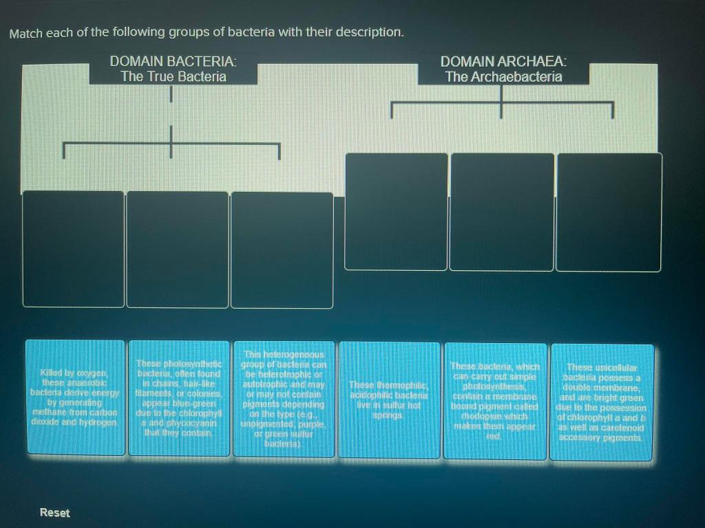 Solved Match each of the following groups of bacteria with | Chegg.com