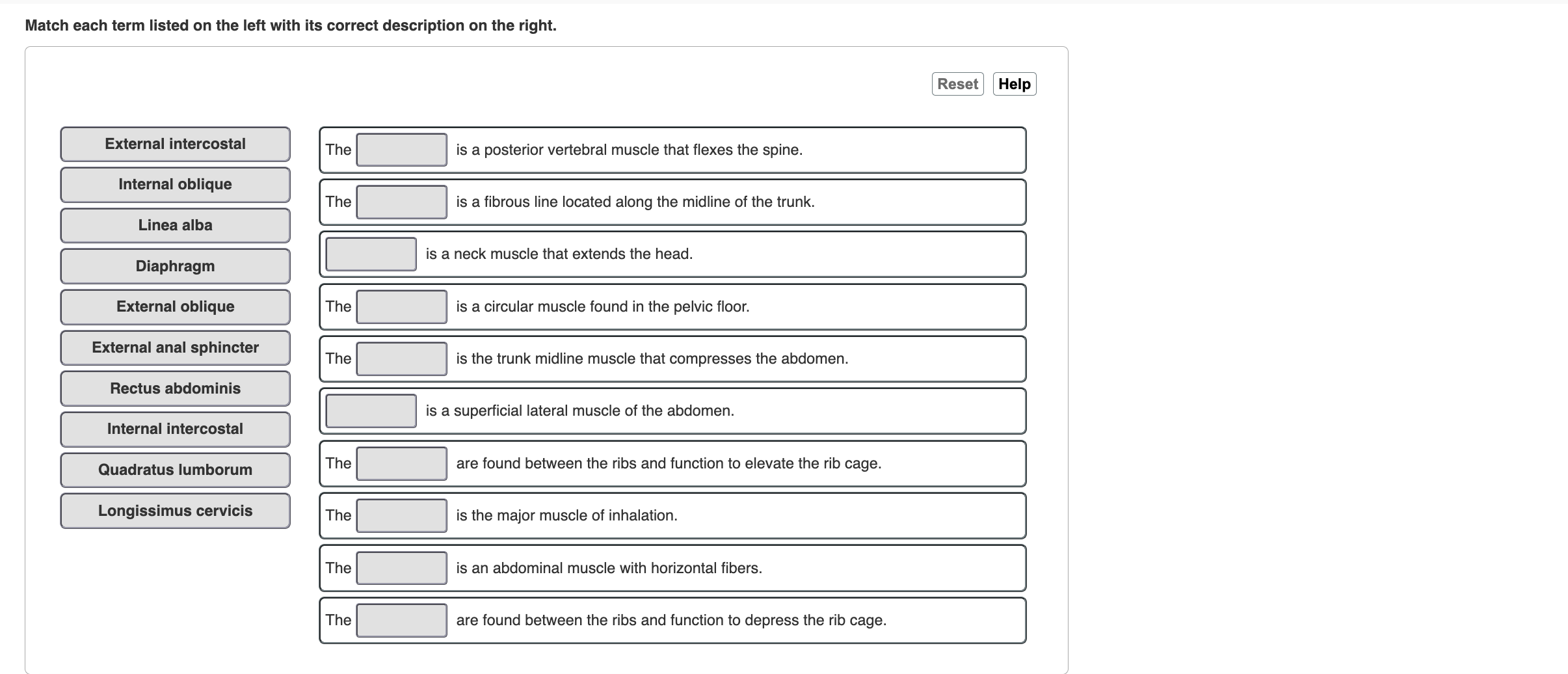 Solved Match each term listed on the left with its correct | Chegg.com