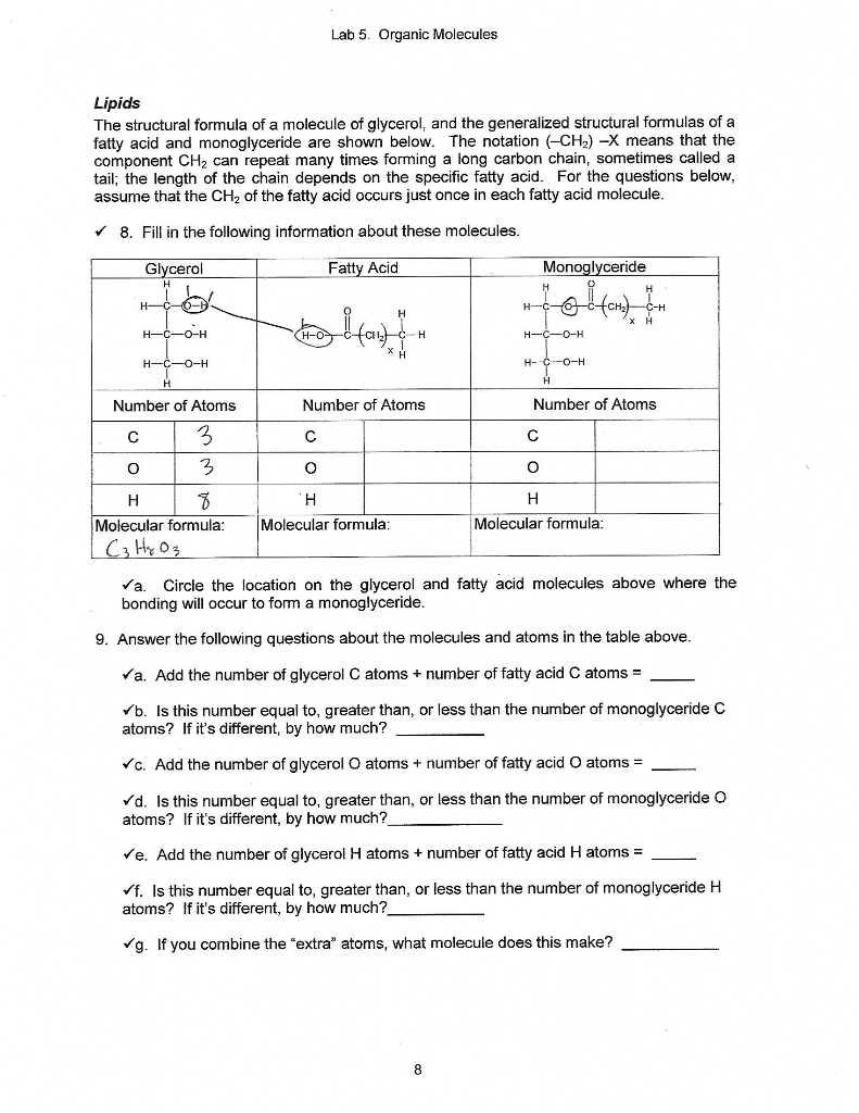 Solved Lab 5 Organic Molecules Lipids The Structural Chegg Com