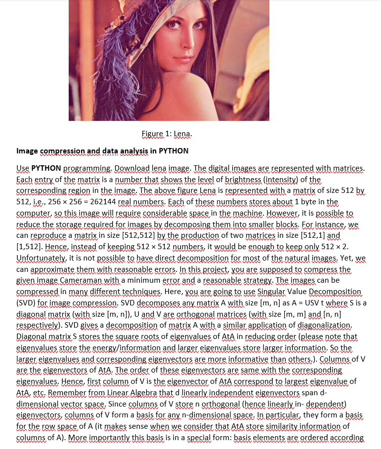 Figure 1: Lena.
Image compression and data analysis in PYTHON
Use PYTHON programming. Download lena image. The digital images