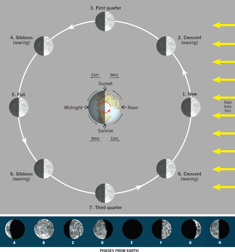 Solved 3. First quarter 4. Gibbous (waxing) 2. Crescent | Chegg.com