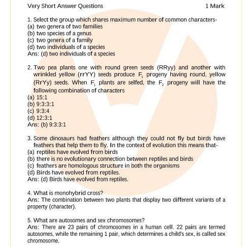 short essay question set 1 answers