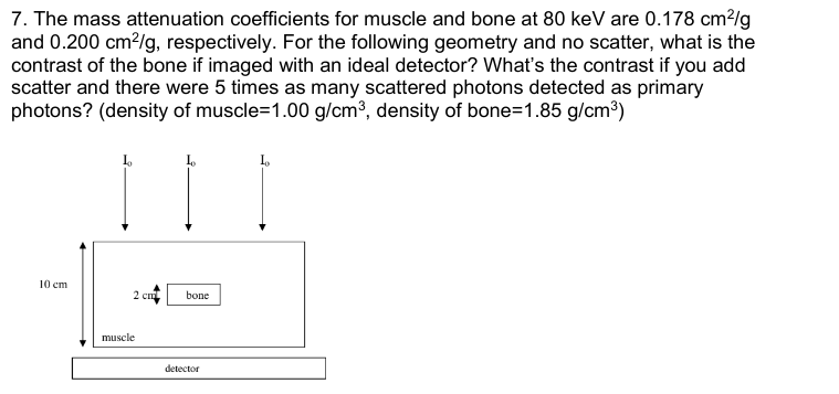 Solved 7. The mass attenuation coefficients for muscle and | Chegg.com