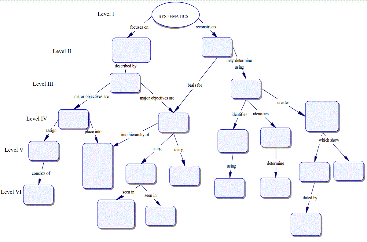 Levels and Key Terms Level Terms Level 1 Systematics