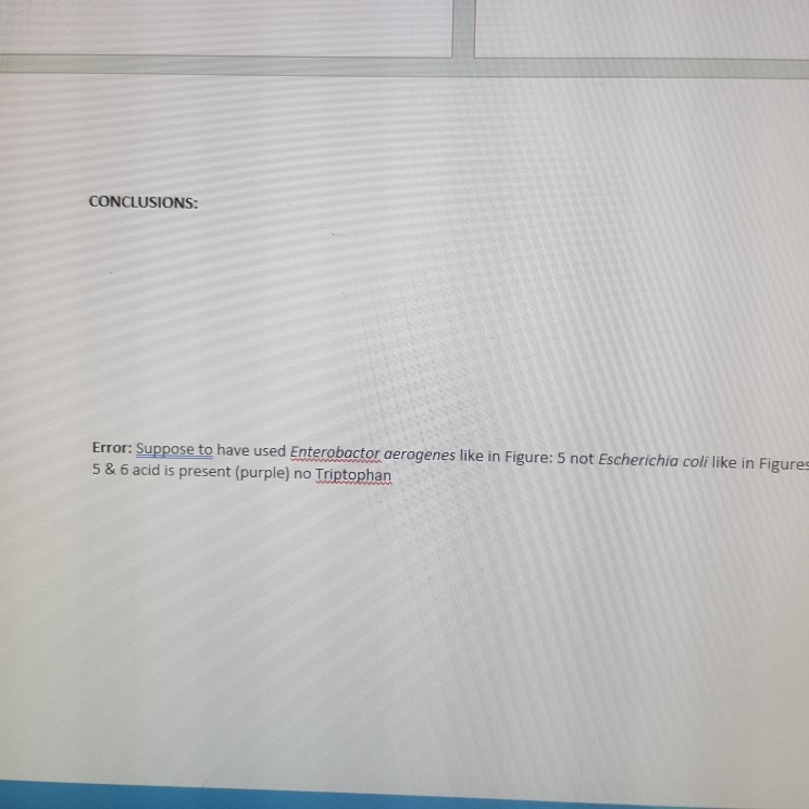 Solved LAB 16 Protein catabolism, Part 2 PURPOSE To be