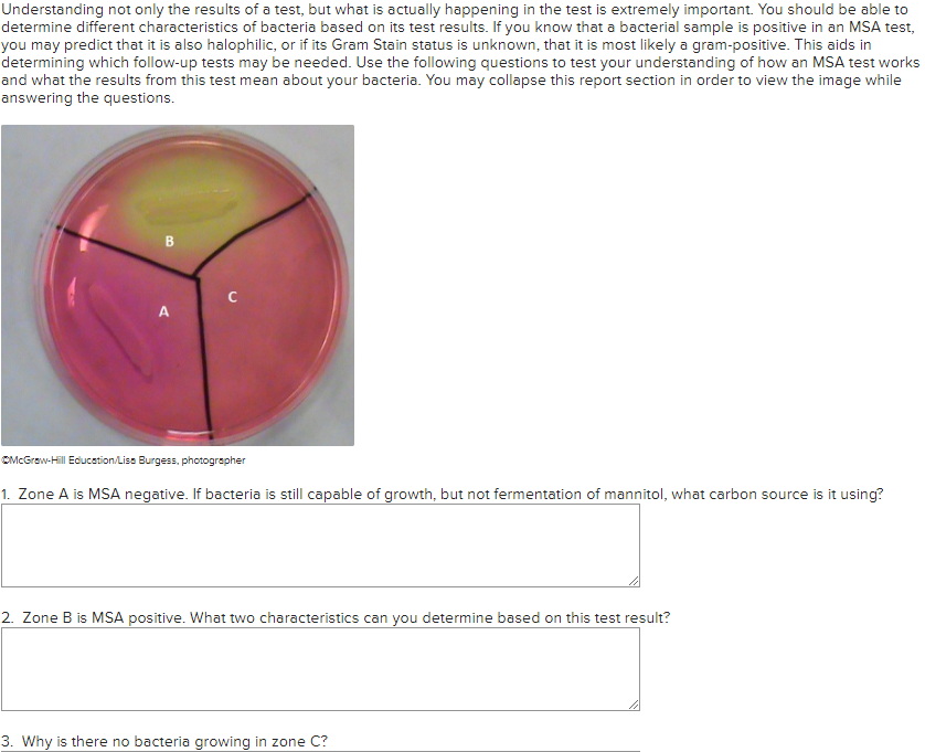 Solved Required information Mannitol Salt Agar (MSA) Read | Chegg.com
