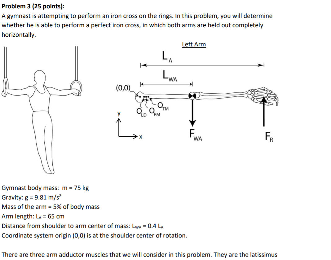 Solved 3. An athlete weighing 750 N performs an iron cross