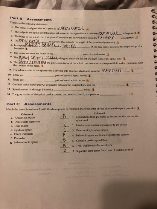 Solved Part B Assessments Complete The Following Statements: | Chegg.com