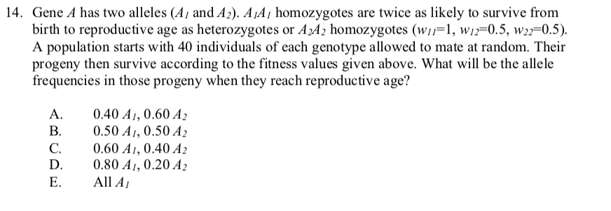 Solved 14. Gene A has two alleles (A, and A2). A A, | Chegg.com
