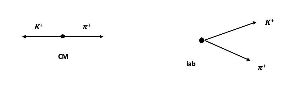 Solved highly relativistic D0→K−π+decayCM labthe decay D0→Kπ | Chegg.com