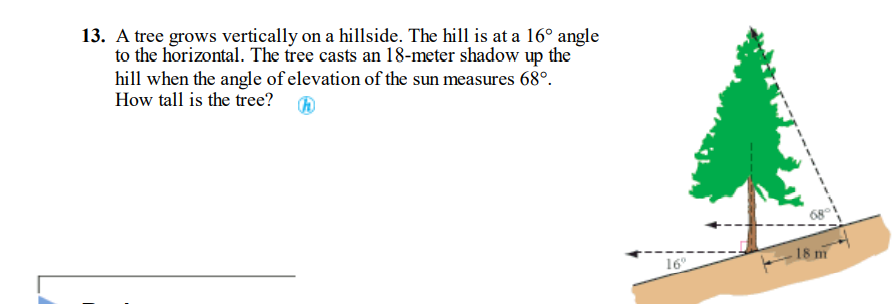 solved-13-a-tree-grows-vertically-on-a-hillside-the-hill-chegg