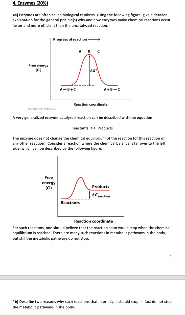 Solved 4a) Enzymes are often called biological catalysts.