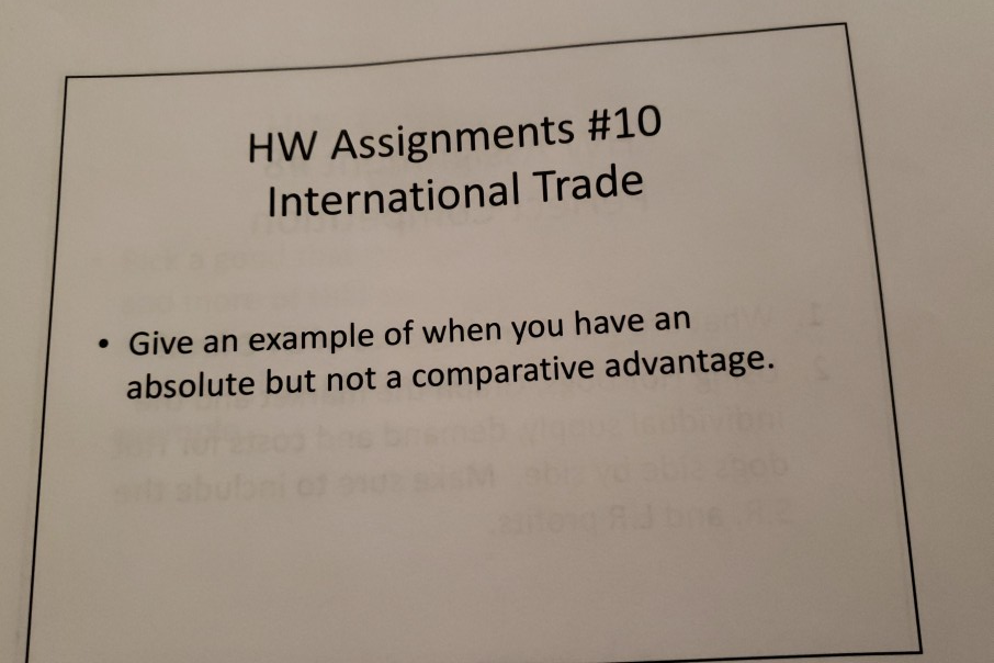 international trade assignments