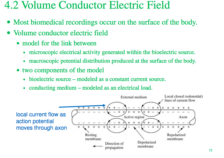 Solved 4.2 Volume Conductor Electric Field • Most biomedical