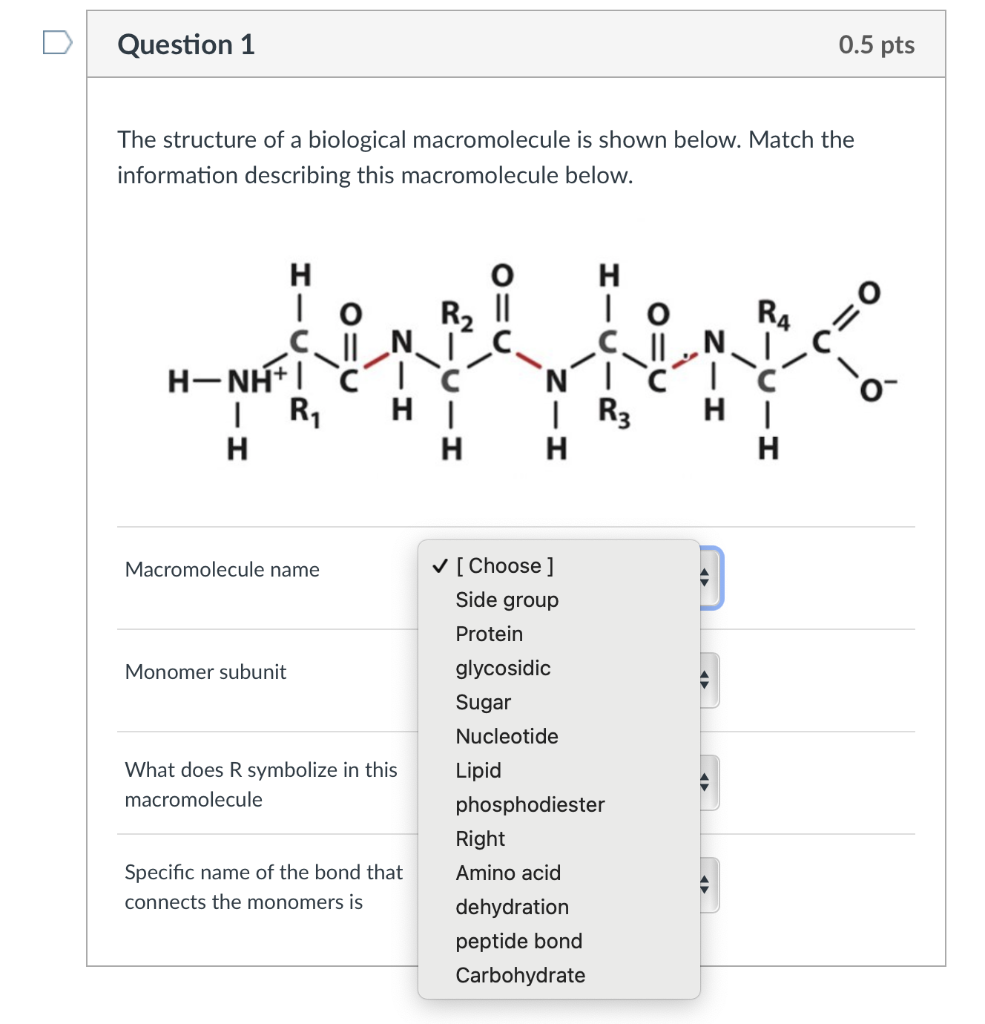 solved-the-structure-of-a-biological-macromolecule-is-shown-chegg