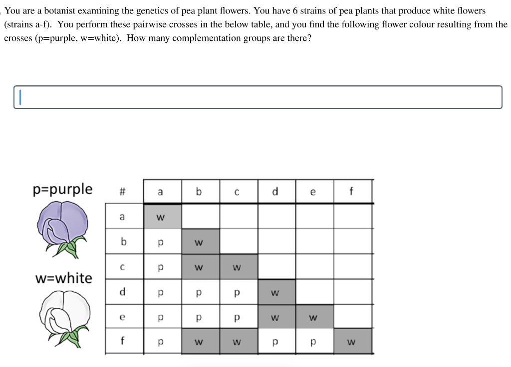 Solved You are a botanist examining the genetics of pea | Chegg.com