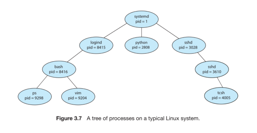 Operating Systems: Construct a process tree similar | Chegg.com