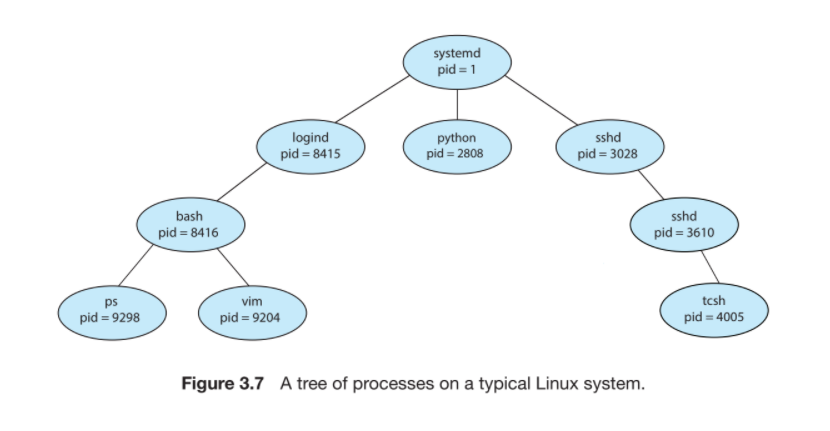 operating-systems-construct-a-process-tree-similar-chegg