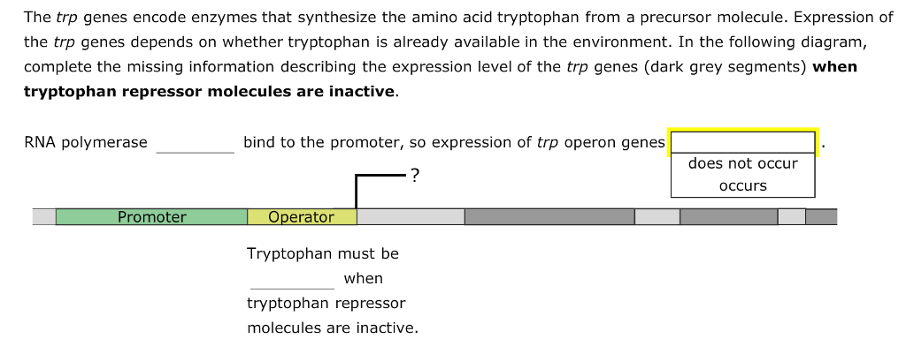Solved 2. Regulation of prokaryotic gene expression Aa Aa | Chegg.com