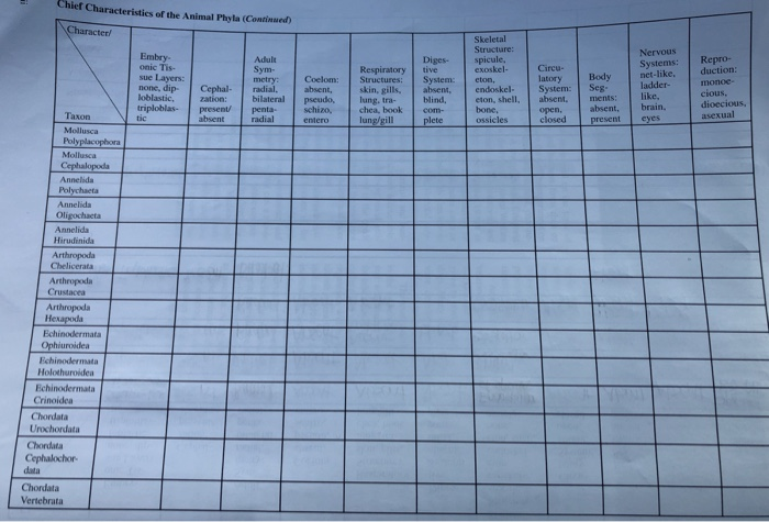 solved-chart-chief-characteristics-of-the-animal-phyla-can-chegg