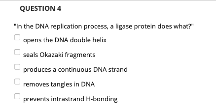 Solved "In the DNA replication process, a ligase protein | Chegg.com