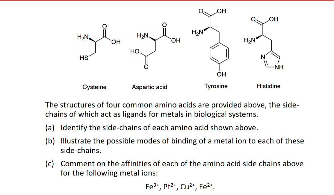 Solved The structures of ﻿four common amino acids are | Chegg.com
