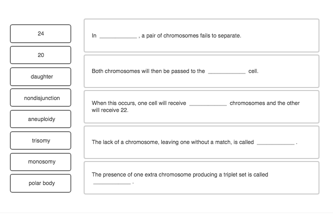 Solved: Place A Word Into Each Sentence To Make It Correct... | Chegg.com