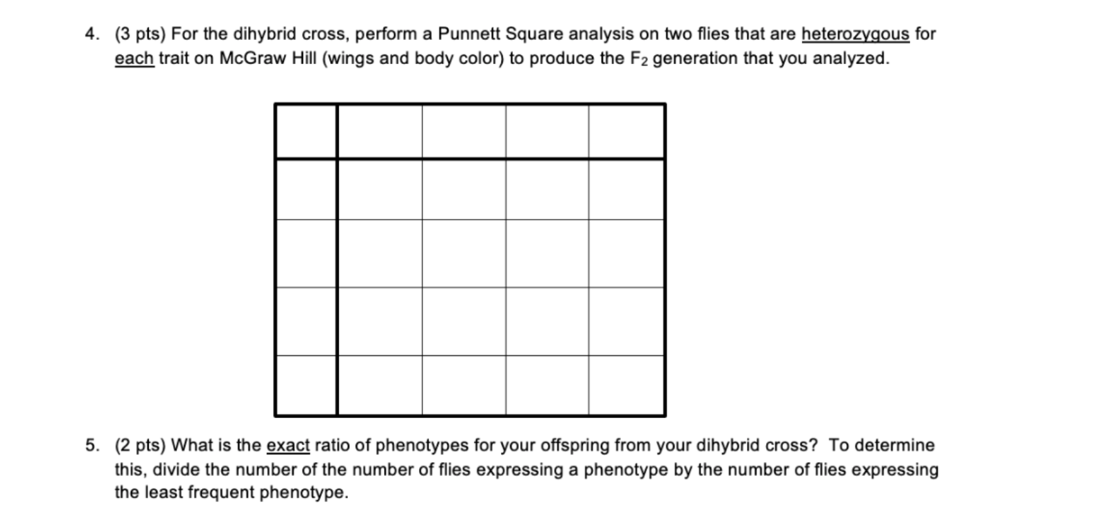 hybrid punnett square