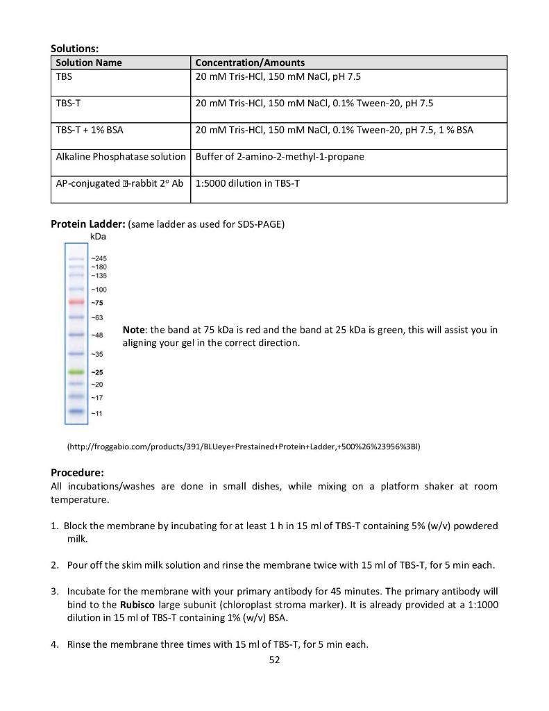 Solved Procedure: Total Protein Determination Note: | Chegg.com
