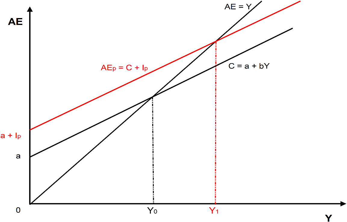 Solved 13. If the level of G rises in AEp, does the