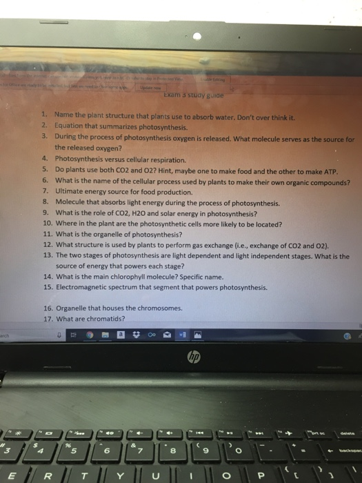 Solved Exam 3 stuay guide 1. Name the plant structure that | Chegg.com