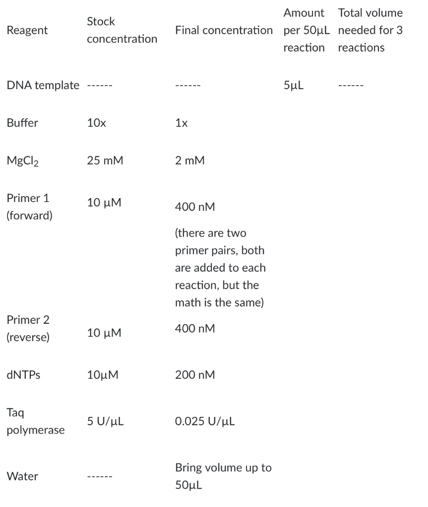 Pcr Master Mix Recipe Bryont Blog