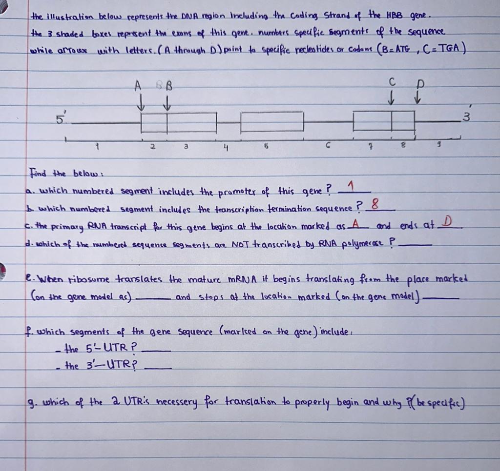 Solved Please I Would Like Help On D, E, F, And G Please. | Chegg.com