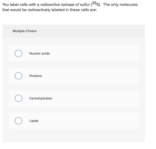 Solved You label cells with a radioactive isotope of sulfur