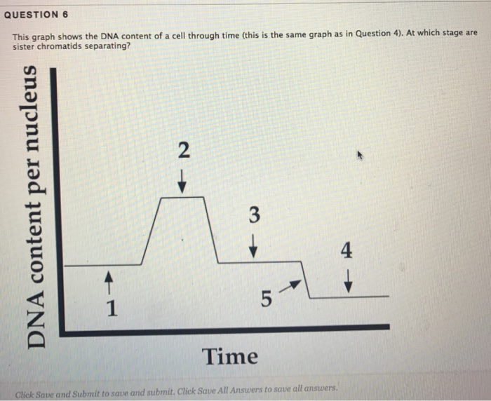 Solved Question 6 This Graph Shows The Dna Content Of A Cell 1436