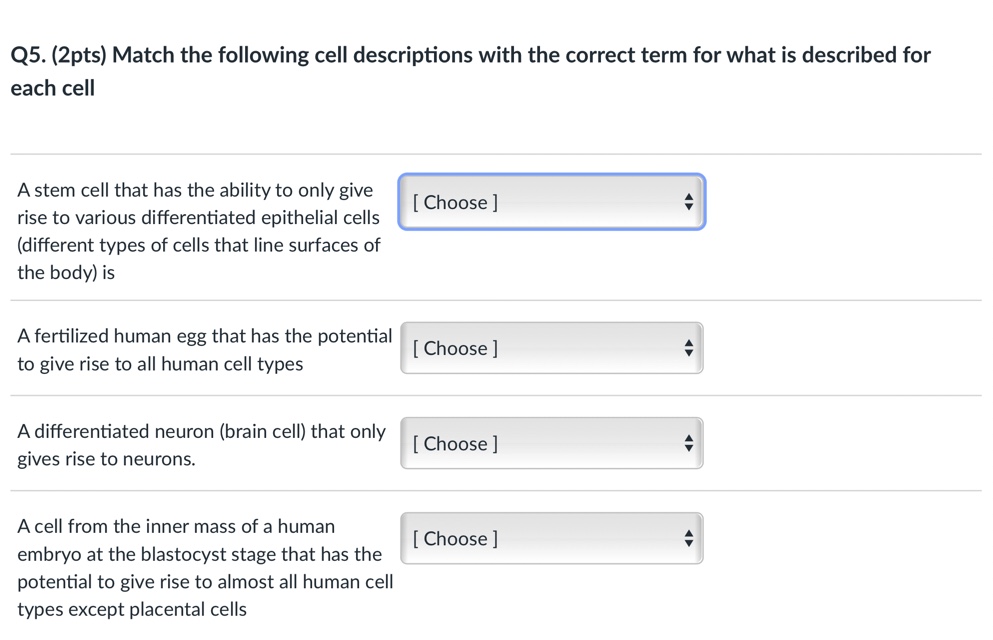 Q5. (2pts) Match the following cell descriptions with the correct term for what is described for each cell
A stem cell that h