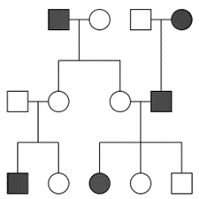 Solved Answer ALL (a-d) the yes/no questions concerning each | Chegg.com