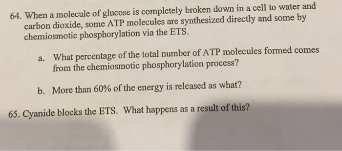 Solved 64. When a molecule of glucose is completely broken | Chegg.com