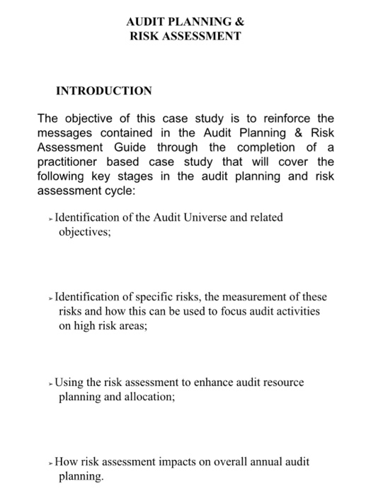 audit planning and risk assessment case study