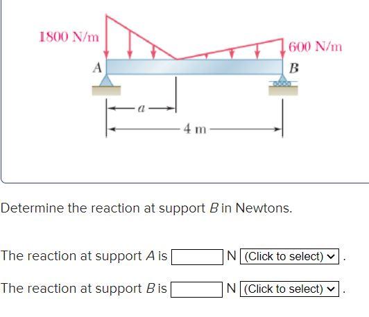 Solved Determine the reaction at support B in Newtons. The | Chegg.com