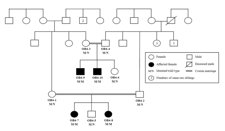 Solved The above pedigree shows an extended family that | Chegg.com